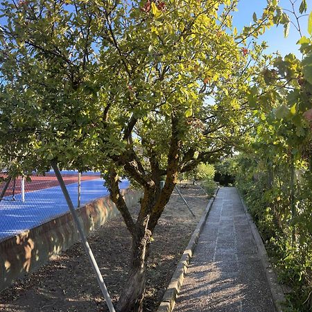 Alfacar Casa Los Rosales מראה חיצוני תמונה
