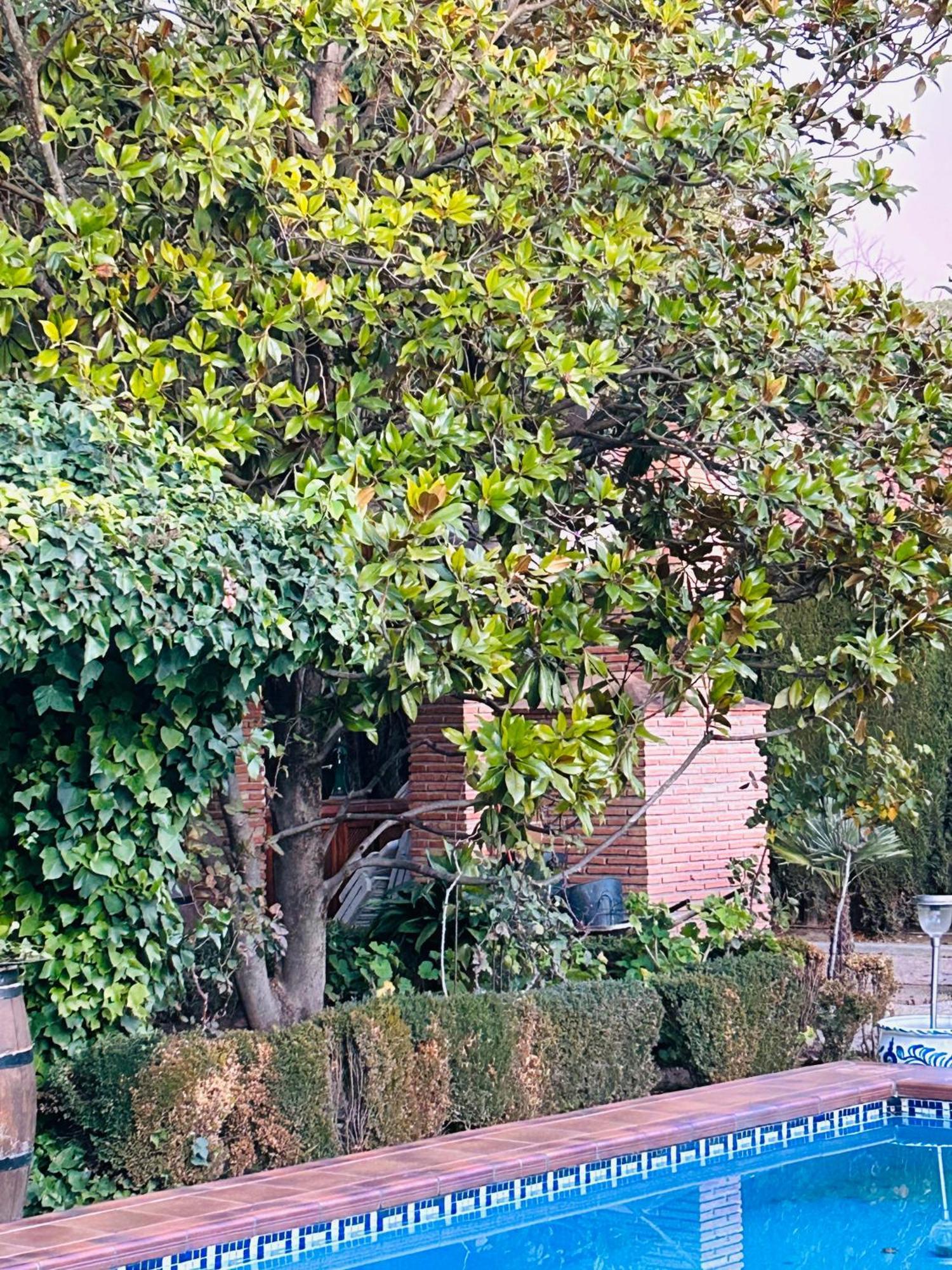 Alfacar Casa Los Rosales מראה חיצוני תמונה