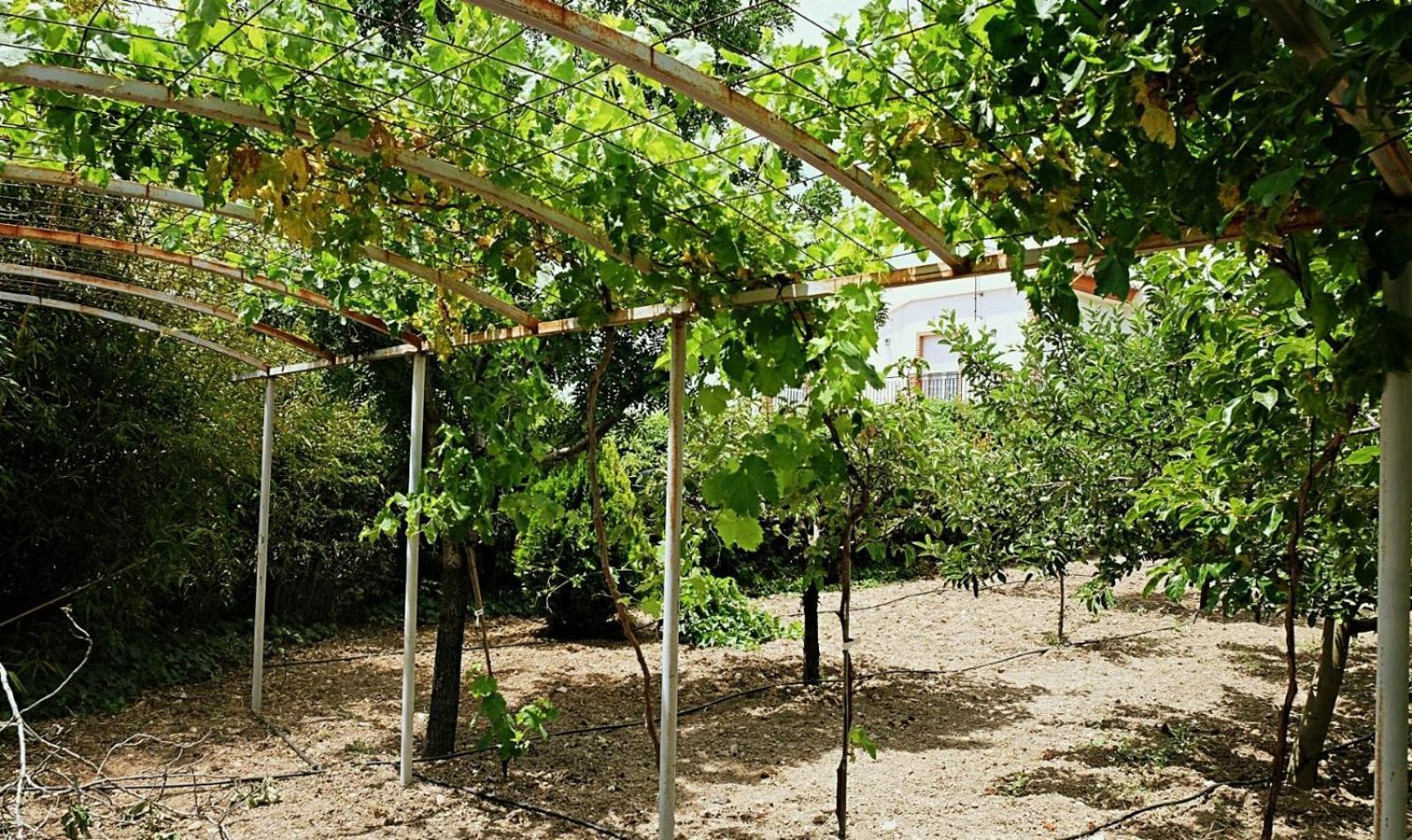 Alfacar Casa Los Rosales מראה חיצוני תמונה