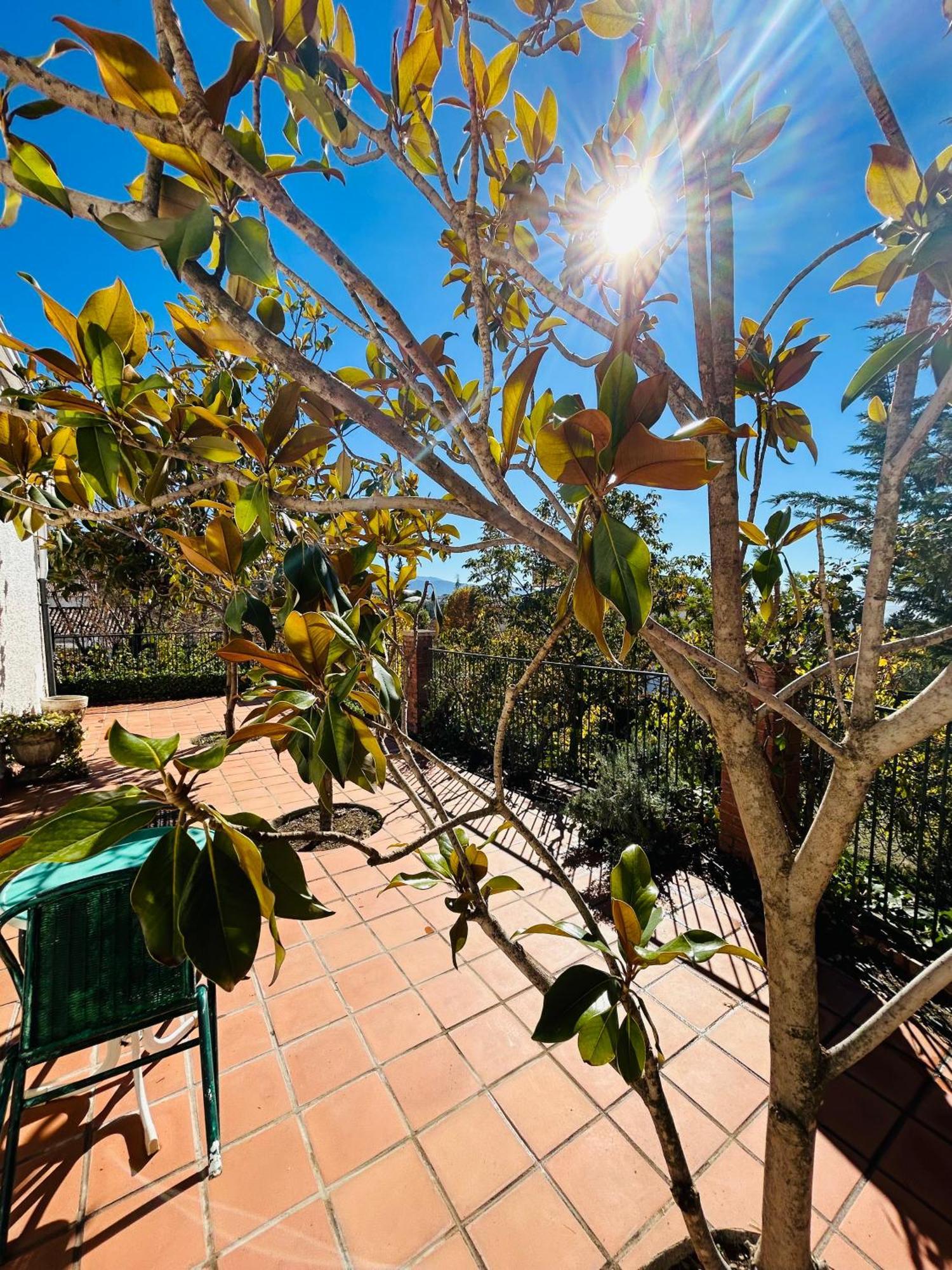 Alfacar Casa Los Rosales מראה חיצוני תמונה