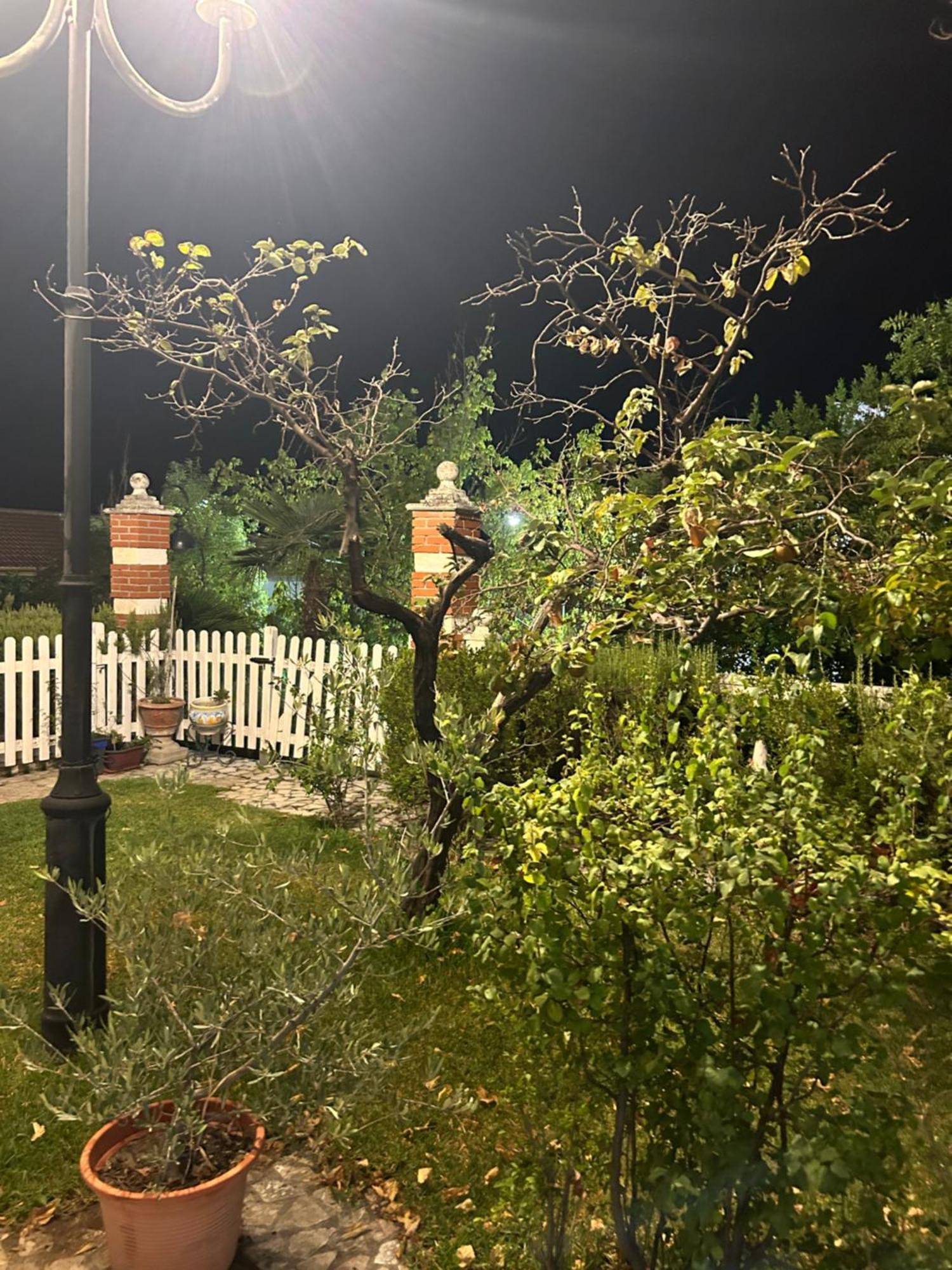 Alfacar Casa Los Rosales מראה חיצוני תמונה