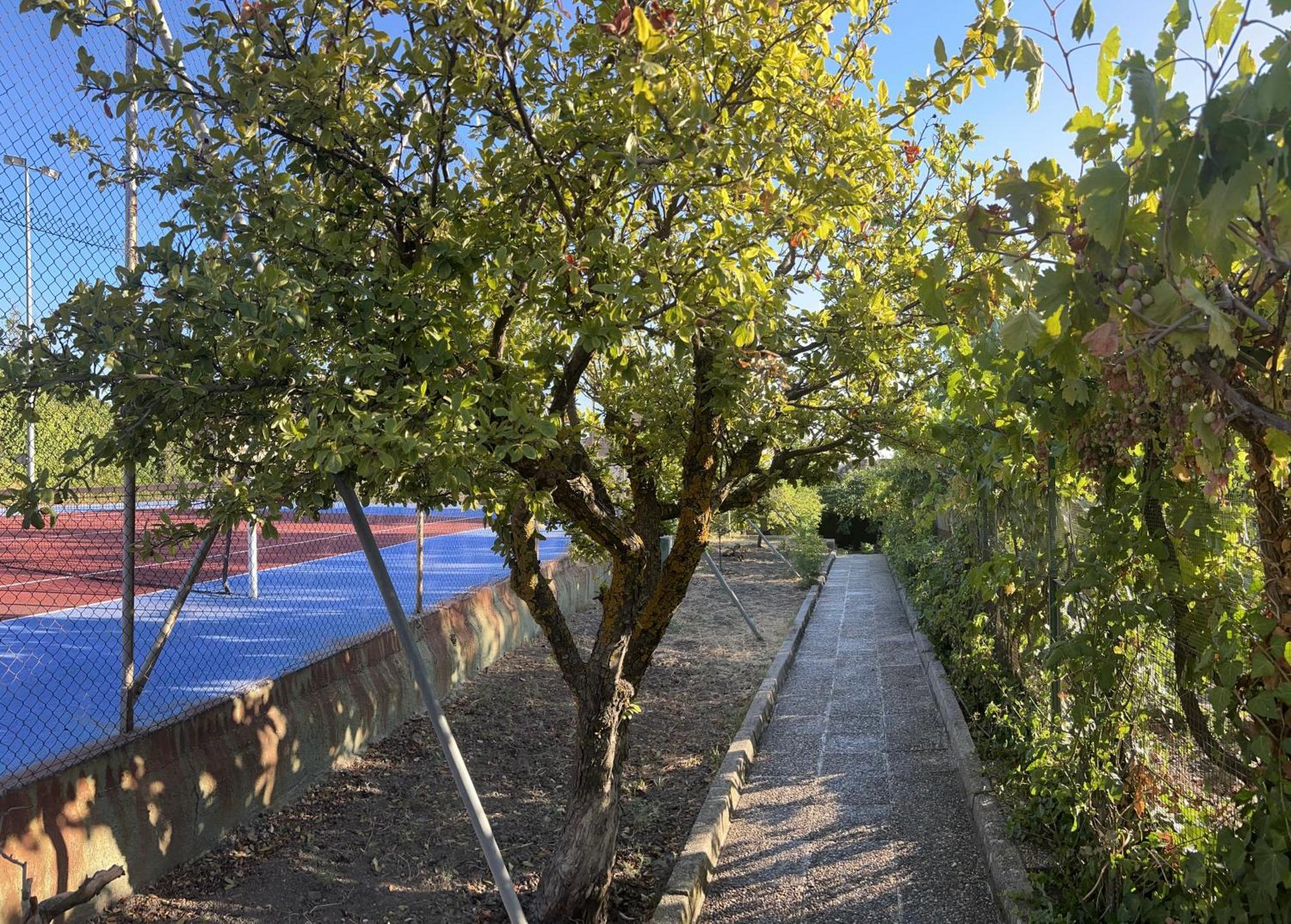 Alfacar Casa Los Rosales מראה חיצוני תמונה