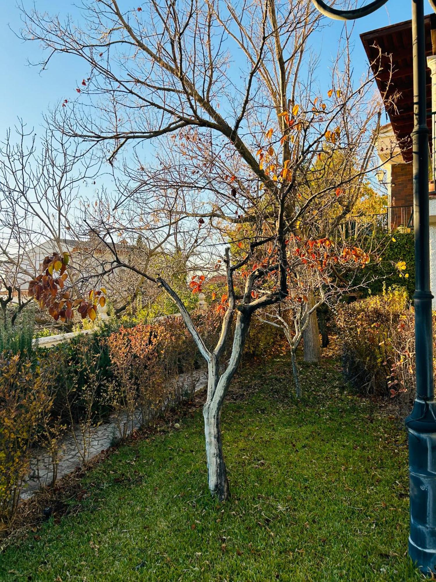 Alfacar Casa Los Rosales מראה חיצוני תמונה